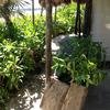 Vacation-2012-11-08-114713