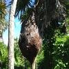 Vacation-2012-11-08-115207