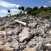 Vacation-2012-11-08-120348