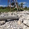 Vacation-2012-11-08-120411