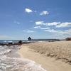 Vacation-2012-11-08-121110