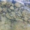 Vacation-2012-11-08-124709