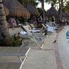 Vacation-2012-11-08-160811