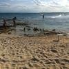 Vacation-2012-11-09-145631