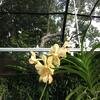 Vacation-2012-11-10-134139