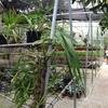 Vacation-2012-11-10-134339