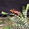 Vacation-2012-11-10-134513