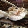 Vacation-2012-11-10-134716
