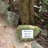 Vacation-2012-11-10-135112