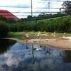 Vacation-2012-11-10-135712