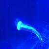 Vacation-2012-11-10-140856