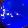 Vacation-2012-11-10-140906