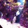 Vacation-2012-11-10-141021