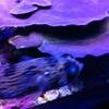 Vacation-2012-11-10-141138