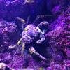 Vacation-2012-11-10-141535
