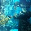 Vacation-2012-11-10-141725