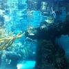 Vacation-2012-11-10-141728