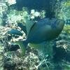 Vacation-2012-11-10-141756
