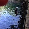 Vacation-2012-11-10-142746