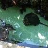 Vacation-2012-11-10-143057