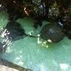 Vacation-2012-11-10-143100