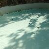 Vacation-2012-11-10-143422
