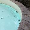 Vacation-2012-11-10-143428