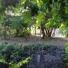 Vacation-2012-11-10-160025