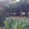 Vacation-2012-11-10-160138