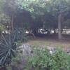 Vacation-2012-11-10-160206