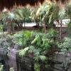 Vacation-2012-11-10-160313