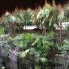 Vacation-2012-11-10-160316
