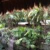 Vacation-2012-11-10-160324