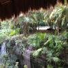 Vacation-2012-11-10-160344