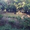 Vacation-2012-11-10-160515