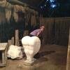 Vacation-2012-11-10-172517