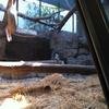 Vacation-2012-03-22-141741