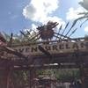 Vacation-2013-06-25-164640