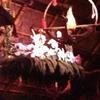 Vacation-2013-06-25-172323