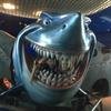 Vacation-2013-06-26-174908