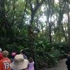 Vacation-2013-06-28-094348