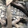 Vacation-2013-06-28-100351