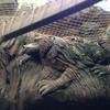 Vacation-2013-06-28-100400