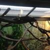 Vacation-2013-06-28-104459