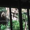 Vacation-2013-06-28-104555