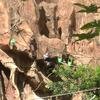 Vacation-2013-06-28-104626