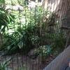 Vacation-2013-06-28-104815