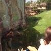 Vacation-2013-06-28-105530