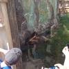 Vacation-2013-06-28-105533