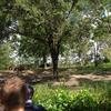 Vacation-2013-06-28-105750